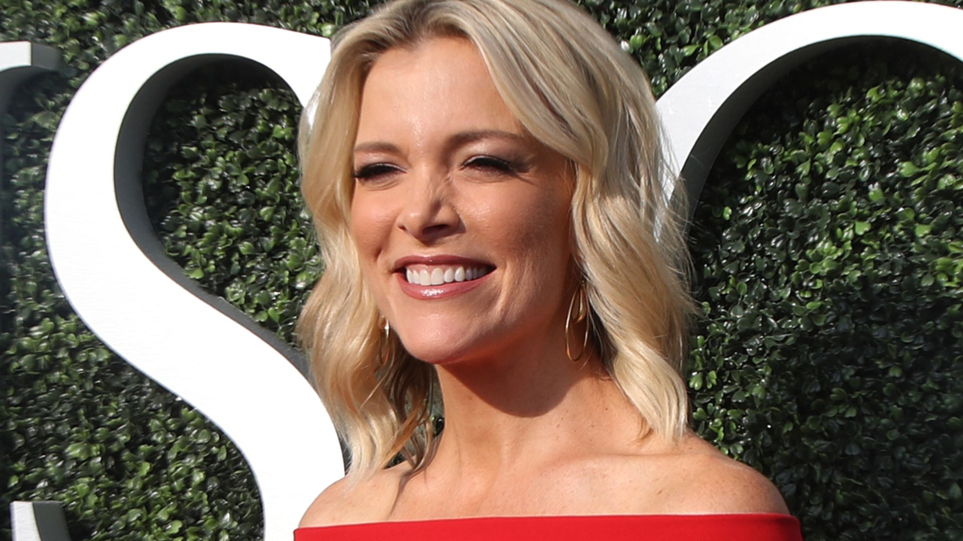 Megyn Kelly Shreds The Media’s Smear Campaign Of Pete Hegseth Point By Point [WATCH]