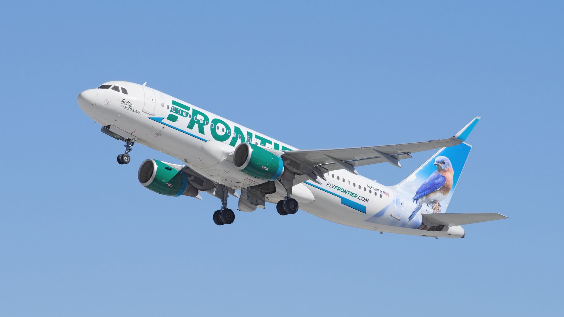 Passenger Goes Wild Punching and Kicking, Gets Restrained by Fellow Flyers with Shoelaces [WATCH]