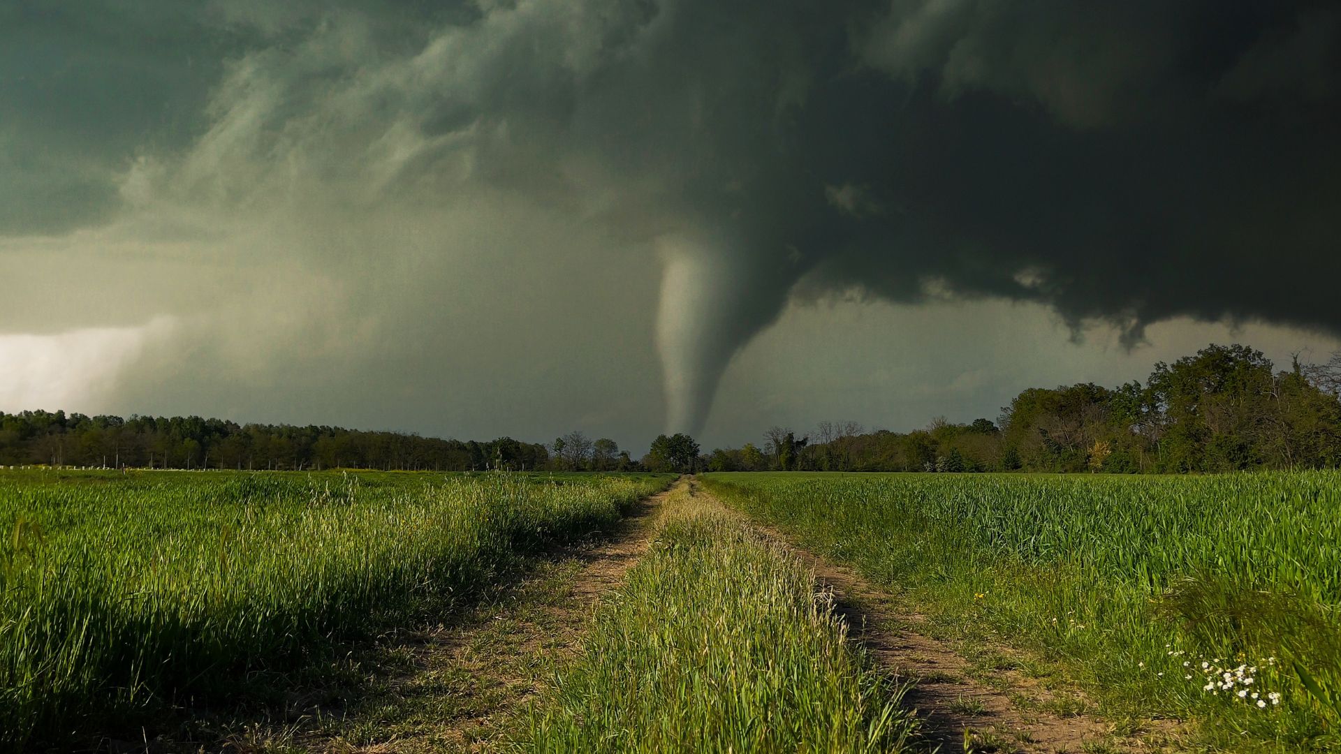 Death Toll Rises as Tornadoes and Wildfires Rip Through the South and Midwest [WATCH]