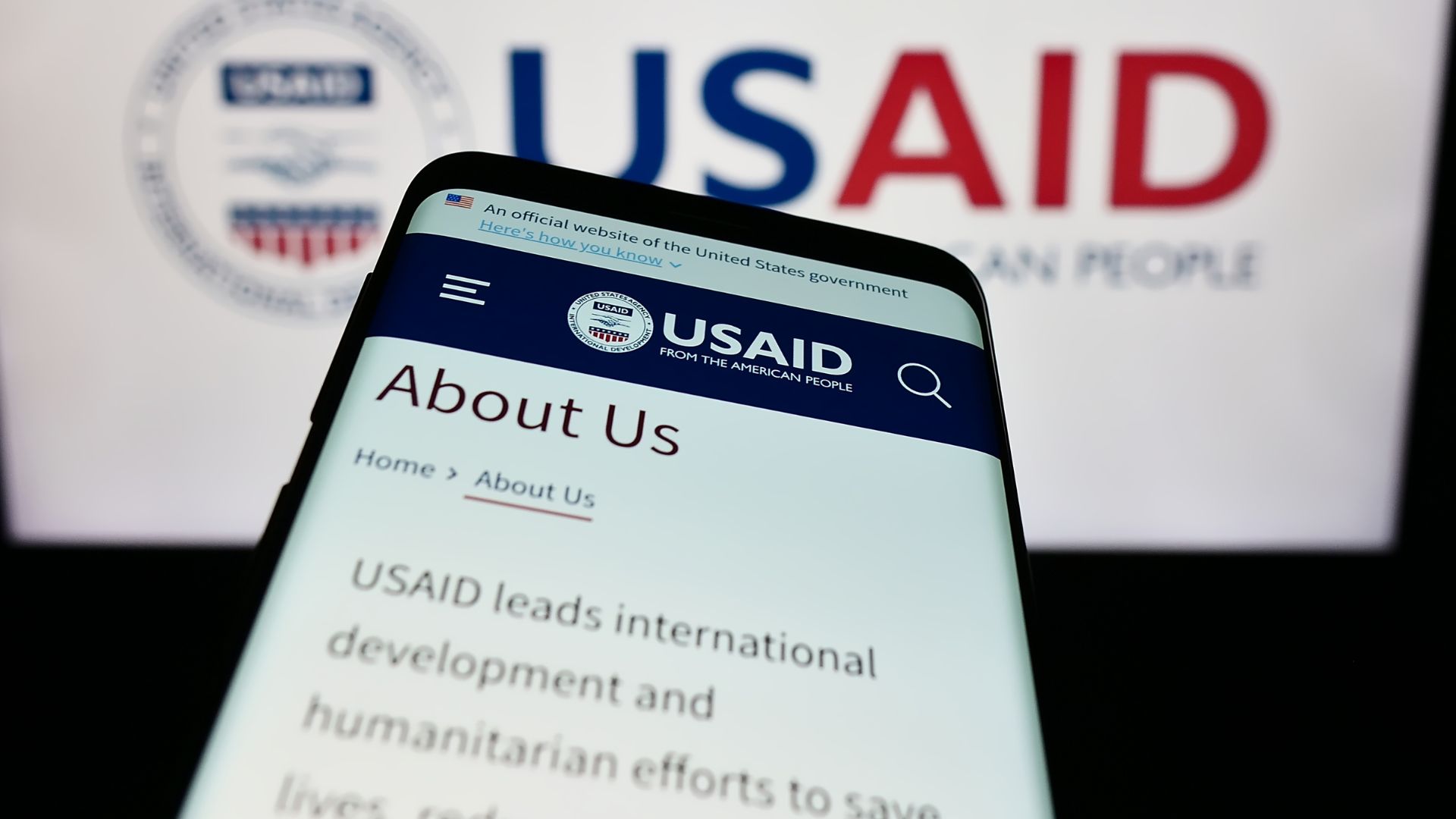 Majority of Programs Axed for Good [WATCH]