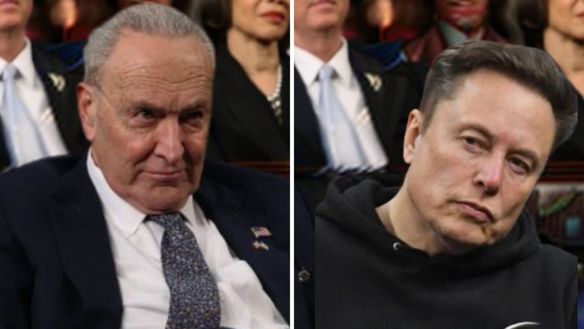 Musk Torches Schumer Over Explosive Government Fraud Allegations
