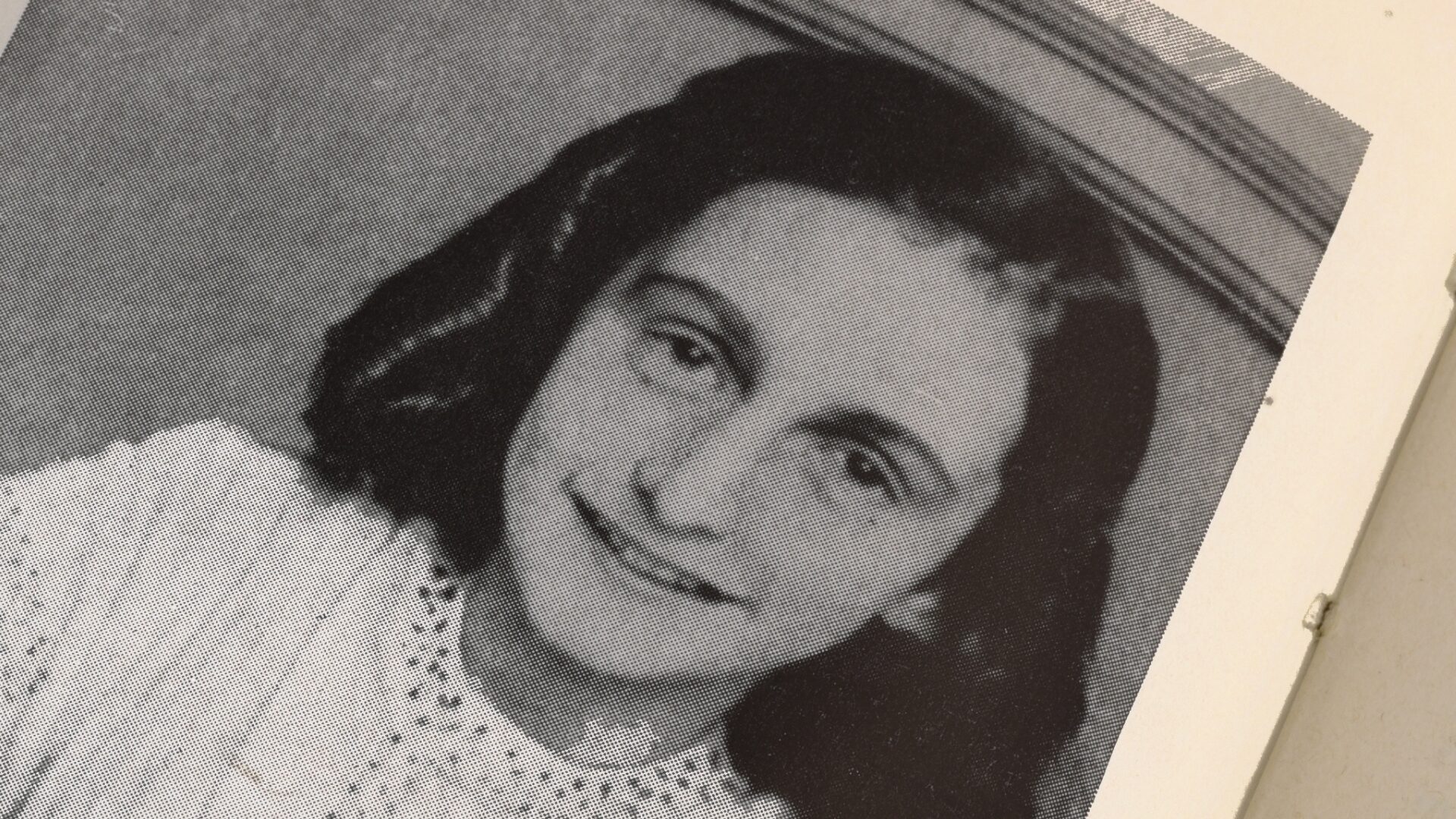 MSNBC Guest Compares ICE Agents To the Nazis Who Hunted Anne Frank [WATCH]
