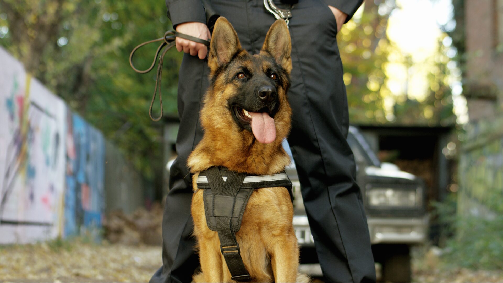 Police K9 Detects Human Blood In Brooklyn Apartment Autistic Missing Child Case